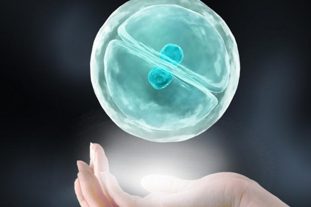 七斤多代生宝宝顺产，探究其可能性与注意事项