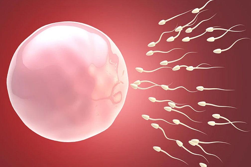 〖成都全国助孕成功率〗代生宝宝为何偏爱趴着睡？